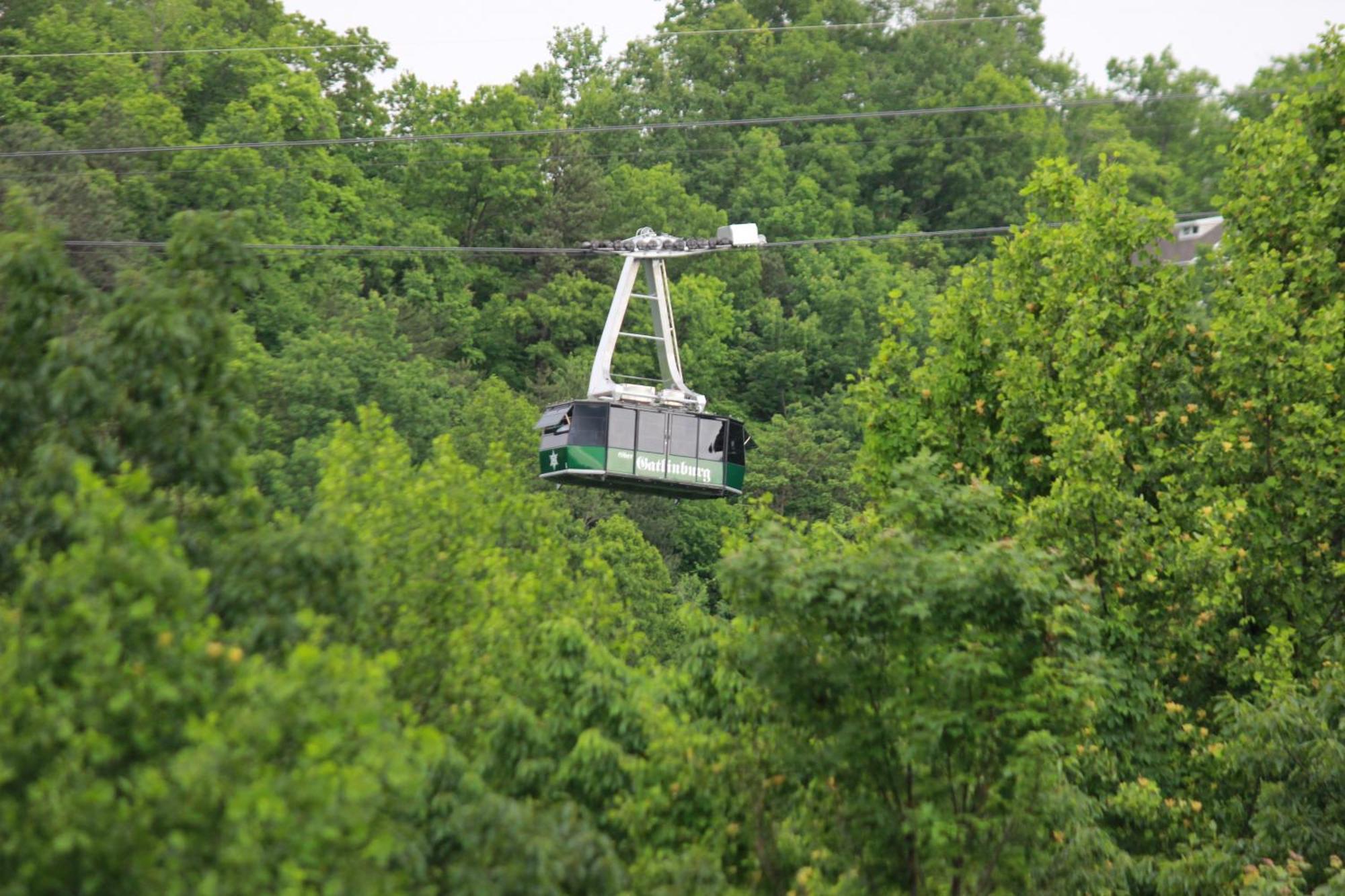 Heavenly View - Bear Themed Cabin, Hottub, Dog-Friendly, Near Gatlinburg Exterior foto
